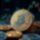 Bitcoin and Euro exchange dynamics visualization